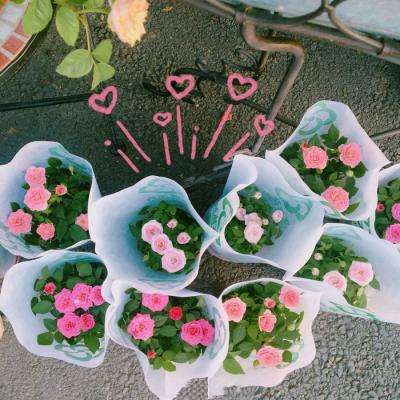 风云体育app下载官网截图